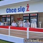 zdjęcie nr 301
