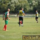 zdjęcie nr 12