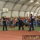 zdjęcie nr 37