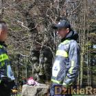 Fotka nr 5 z 84