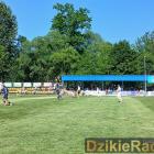 zdjęcie nr 189
