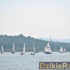 zdjęcie nr 99
