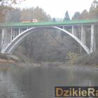 zdjęcie nr 10