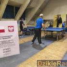 Fotka nr 5 z 11
