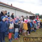 zdjęcie nr 7