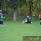zdjęcie nr 11