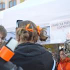 zdjęcie nr 27