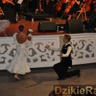 zdjęcie nr 16