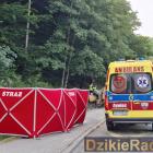 zdjęcie nr 7