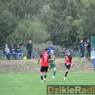 zdjęcie nr 131