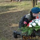 zdjęcie nr 28