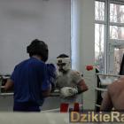 zdjęcie nr 15