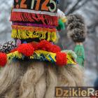 zdjęcie nr 494