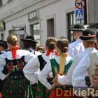 zdjęcie nr 31