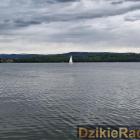 Fotka nr 4 z 24