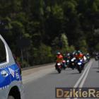 Fotka nr 1 z 333