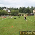 zdjęcie nr 156