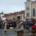 zdjęcie nr 312