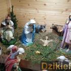 zdjęcie nr 21