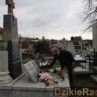 zdjęcie nr 24
