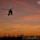 zdjęcie nr 7