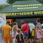 zdjęcie nr 7