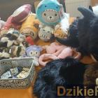 zdjęcie nr 133
