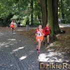 zdjęcie nr 33