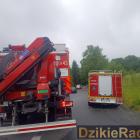 Fotka nr 2 z 6