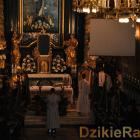 zdjęcie nr 33