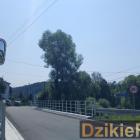 Fotka nr 3 z 6