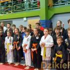 zdjęcie nr 97