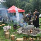 zdjęcie nr 97