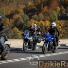 zdjęcie nr 300