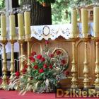 zdjęcie nr 33