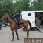 zdjęcie nr 28