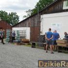 zdjęcie nr 12