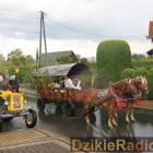 zdjęcie nr 214