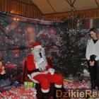 zdjęcie nr 102