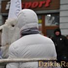 zdjęcie nr 43