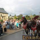 zdjęcie nr 260