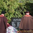 zdjęcie nr 228