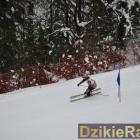 zdjęcie nr 48