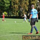 zdjęcie nr 46