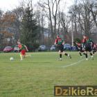zdjęcie nr 12
