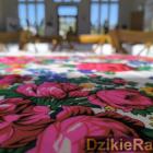 Fot. Dzikie Radio 