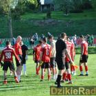 zdjęcie nr 245