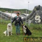zdjęcie nr 33