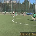 Fotka nr 5 z 20