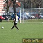 zdjęcie nr 20